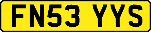 FN53YYS