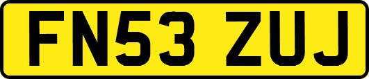 FN53ZUJ