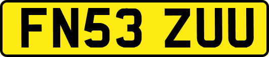 FN53ZUU
