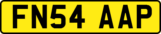 FN54AAP