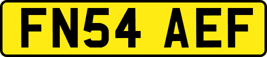 FN54AEF