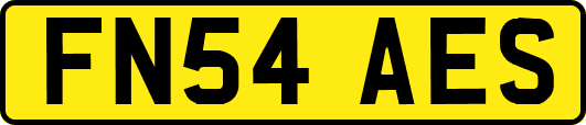 FN54AES