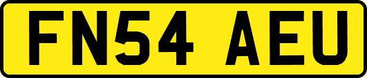 FN54AEU