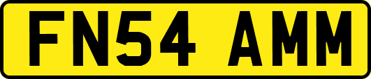 FN54AMM
