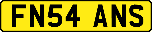 FN54ANS