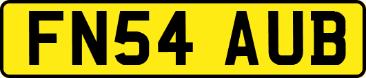 FN54AUB