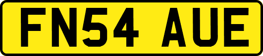 FN54AUE