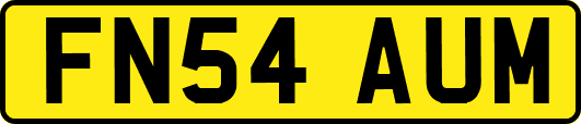 FN54AUM