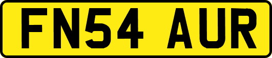 FN54AUR