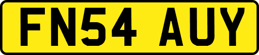 FN54AUY