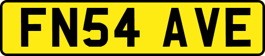 FN54AVE