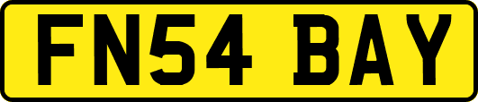 FN54BAY