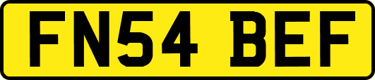 FN54BEF