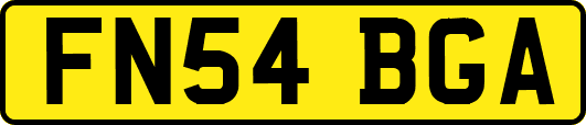 FN54BGA