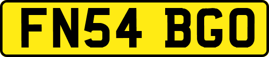 FN54BGO
