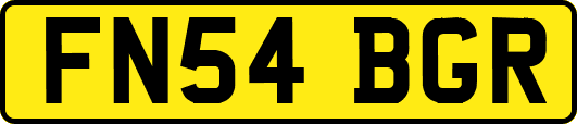 FN54BGR