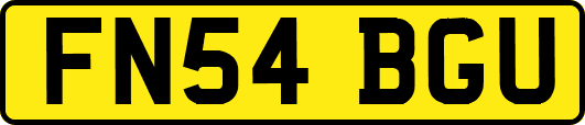 FN54BGU