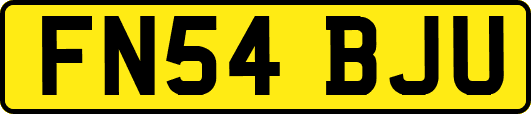 FN54BJU
