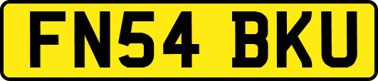 FN54BKU