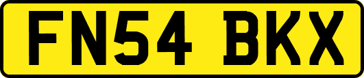 FN54BKX