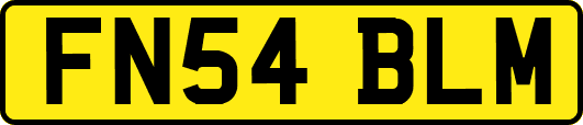 FN54BLM