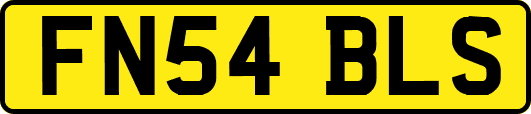 FN54BLS