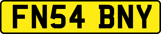 FN54BNY