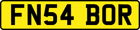 FN54BOR