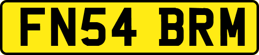 FN54BRM