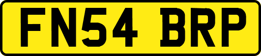 FN54BRP