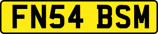 FN54BSM