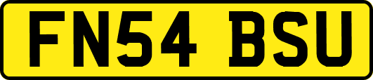 FN54BSU