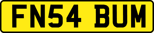 FN54BUM