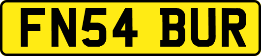 FN54BUR