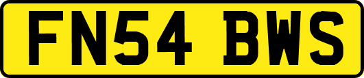 FN54BWS