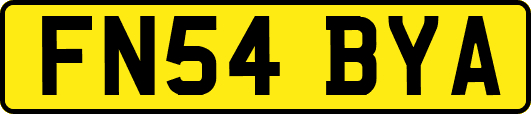 FN54BYA