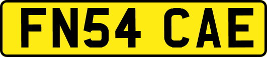 FN54CAE