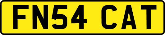 FN54CAT