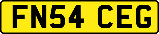 FN54CEG