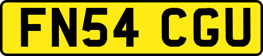 FN54CGU