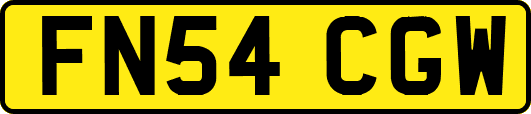 FN54CGW