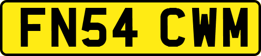 FN54CWM