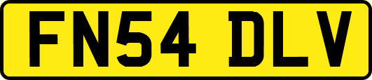 FN54DLV
