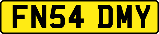 FN54DMY