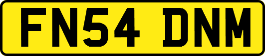 FN54DNM