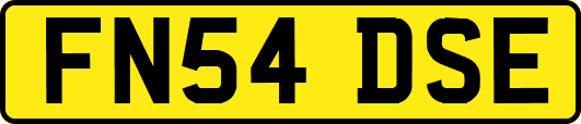 FN54DSE