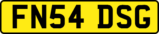 FN54DSG