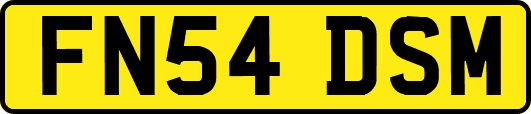 FN54DSM