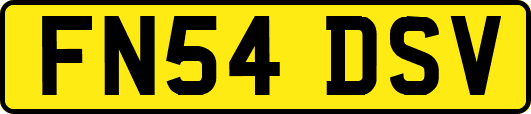 FN54DSV