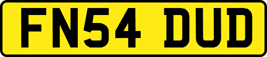 FN54DUD